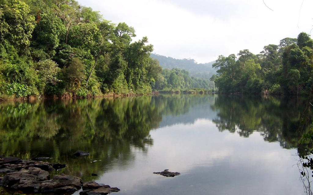 Montañas Cardamomo en Camboya