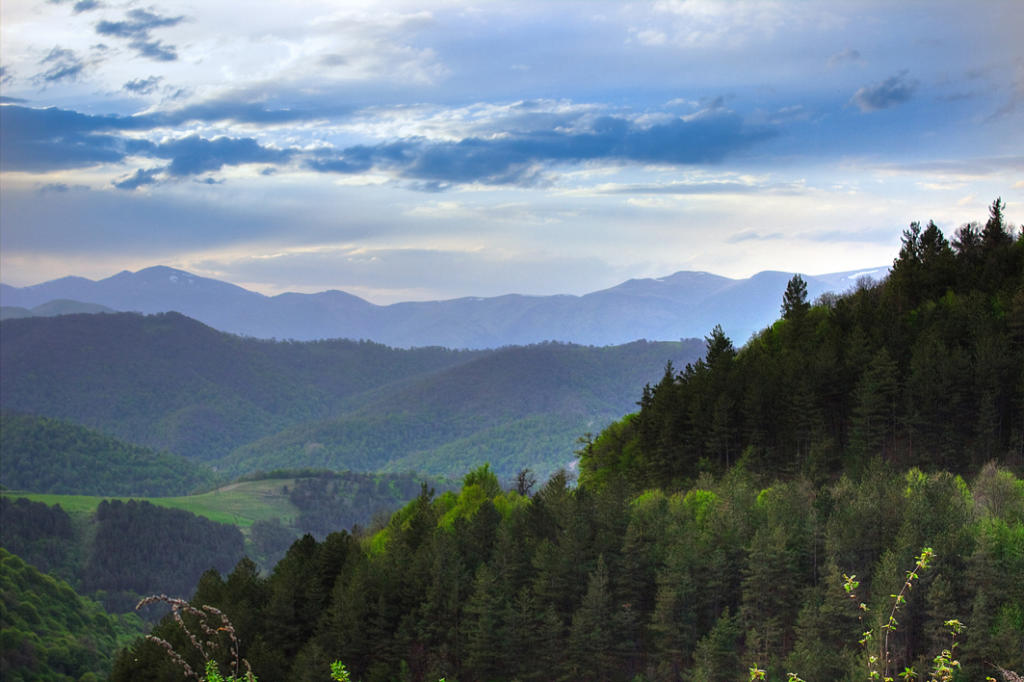 Parque Nacional de Dilijan (Foto de H-Dayan)