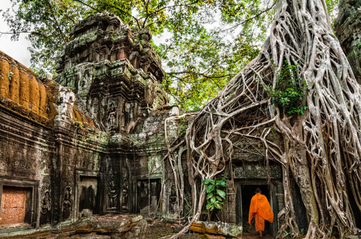 Monje budista en Angkor, Camboya