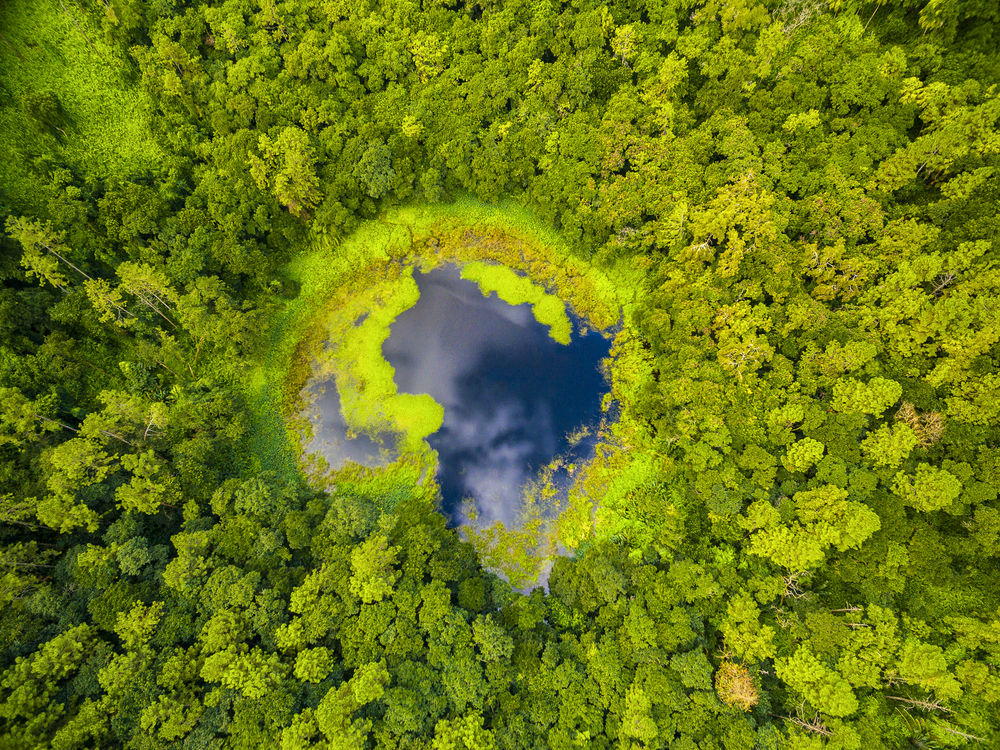 Cráter del volcán Trou Aux Cerf en Isla Mauricio