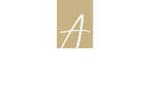 Aidu Travel Logo